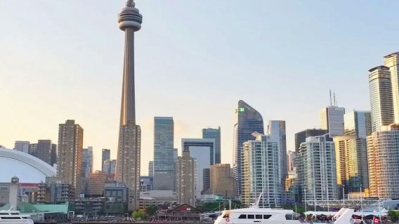 Toronto Harbour: Dinner Cruise + Unlimited Drinks