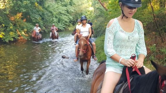 Doświadczenie jazdy konnej w górach Marmaris z transferem