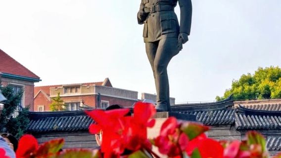 Eendaagse tour Shenyang: Shenyang-paleis, Zhang's Mansion Museum en Lishui Wuhao Lane Hot Springs Resort