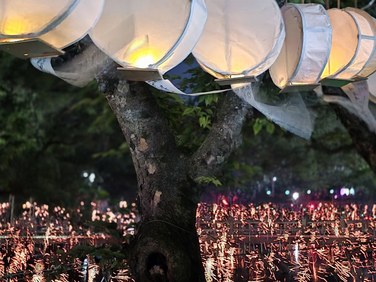 2026咸安落火戯祭り：韓国伝統火花祭典（釜山往復） | Trip.com