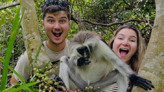 Zanzibar: Jozani Forest, Rode Colobusaap, Zwemmen met zeeschildpadden