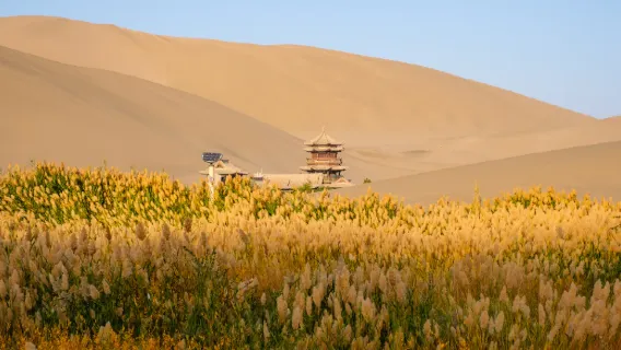 Professional reception service in Gansu province - guide/interpreter/local guide in Chinese/English/other languages