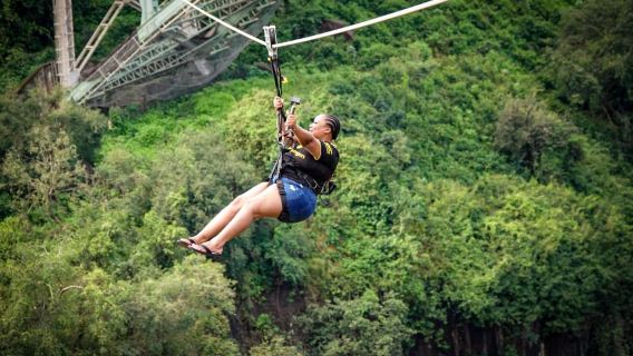 From Victoria Falls: Zip Line from the Victoria Falls Bridge