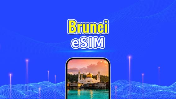 eSIM Brunei 5G | Paket Harian/Paket Data | Penagihan 24 Jam | 1-30 Hari | Kode QR