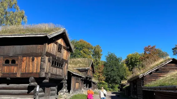 Passeio de um dia em Oslo, Noruega: City tour com dois museus e passeio de barco no fiorde