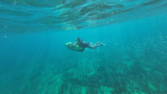 勞德代爾堡：SEABOB 終極浮潛裝備租借與行程