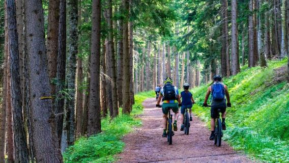 Explore the Beauty of Sibiu with Full-Suspension E-Bikes!