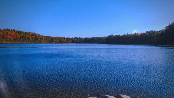 Boston - Taman Hutan Negara Gunung Putih, menikmati daun maple musim luruh (jadual boleh disesuaikan)