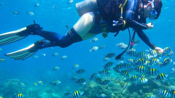 三亞亞龍灣潛水體驗潛水水肺潛水0.5小時【遠海深潛+機動船/拖傘/海天飛龍/帆船出海/香蕉船/衝浪出海旅遊】
