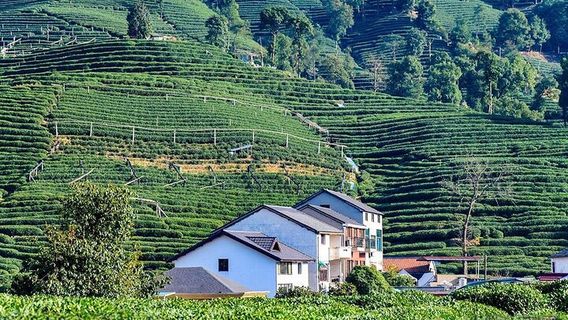 HangzhouTours