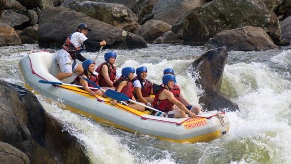 Zeitlich begrenztes Sonderangebot: Halbtagesausflug zum Rafting im Barron River Nationalpark inklusive Ausrüstung und Trainer