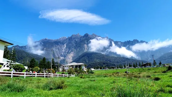 Tour chung trong ngày tham quan Công viên Kinabalu, Suối nước nóng Poring và Trang trại sữa Desa