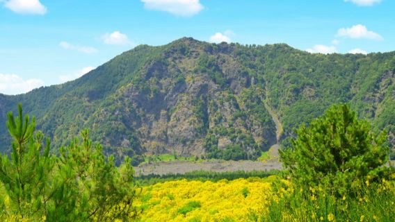 Gunung Vesuvius: Tiket Skip The Line + Pergi-balik dari Naples