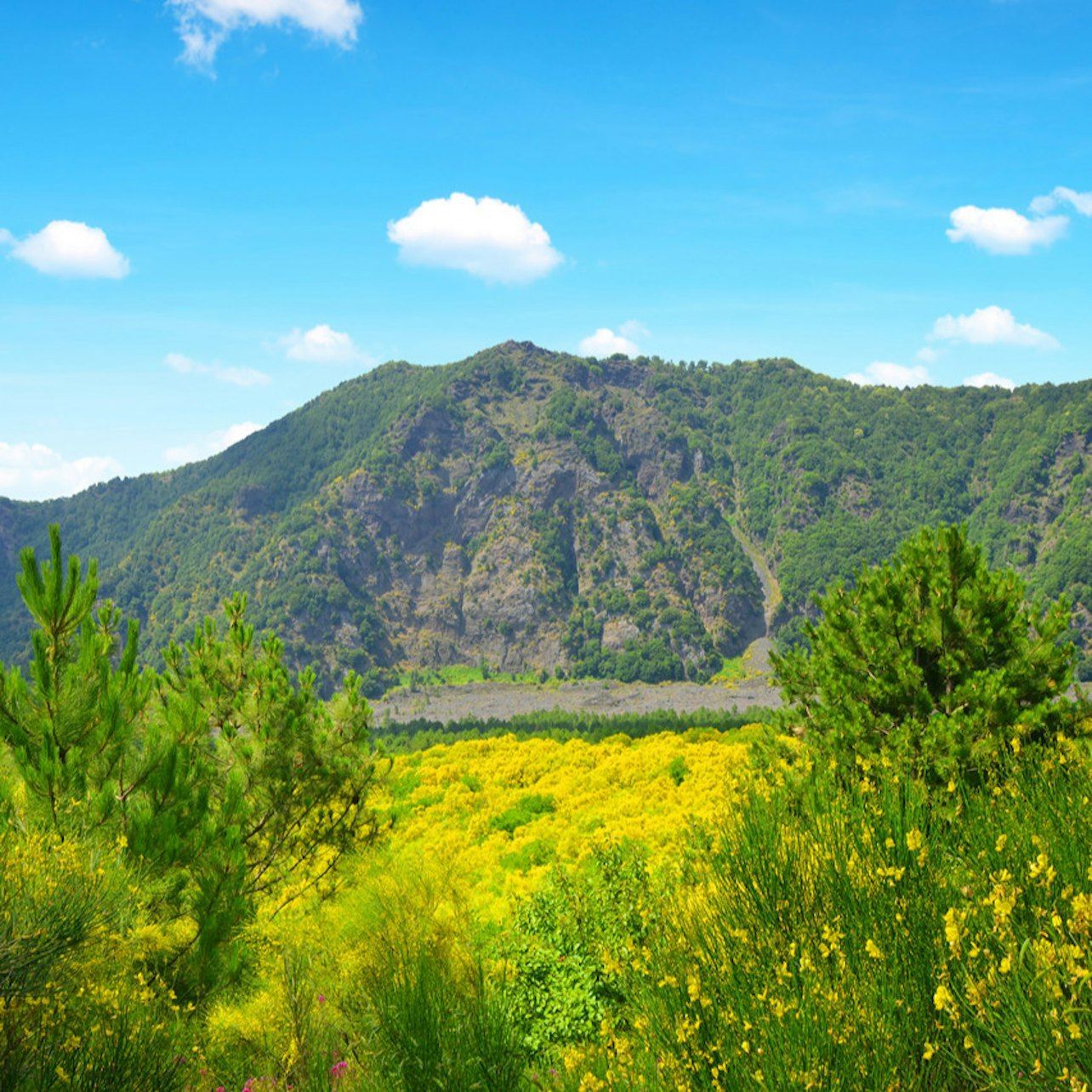Monte Vesuvio: biglietto salta fila + andata e ritorno da Napoli