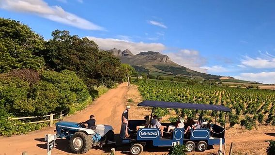 StellenboschTours