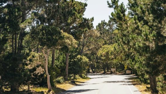 From San Francisco: Day Trip To Monterey and Carmel by the Sea