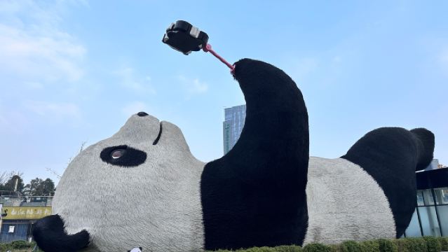 Приватный дневной тур из Чэнду: мудрость Дуцзянюаня, изящество Янтяньво и очарование Гуаньсяня