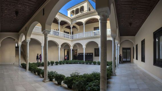 Museo Picasso Málaga: Entry + Audio Guide
