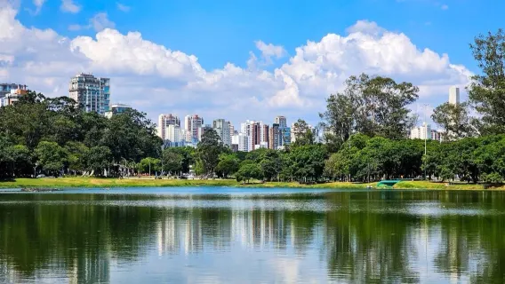 Churches, theaters and nature: a charming one-day tour to Sao Paulo, Brazil with adjustable itinerary and door-to-door pick-up