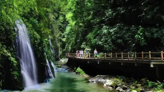 重慶出發，隱密萬盛黑山谷一日私人遊