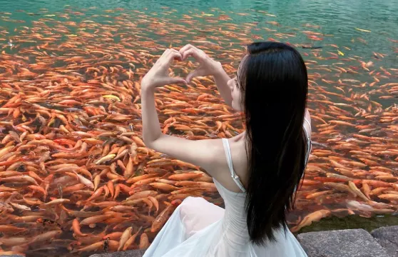 限時優惠·楠溪江麗水古街+陶公洞+永嘉書院+芙蓉古村1日拼車