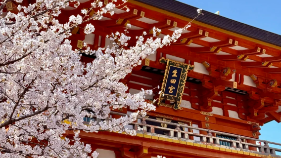 神戶日遊