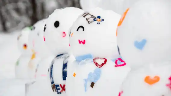 富士山玩雪體驗、箱根海賊船、御殿場奧特萊斯、日式烤肉自助餐