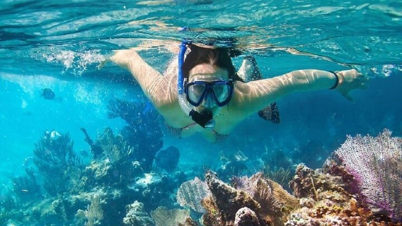 Cham Island Snorkeling Day Tour – No Sightseeing | Snorkeling, Swimming, Lunch – Depart from Da Nang or Hoi An