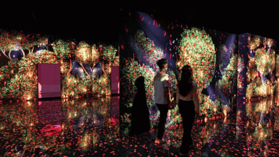 Dubai: Unlimited Attractions Pass