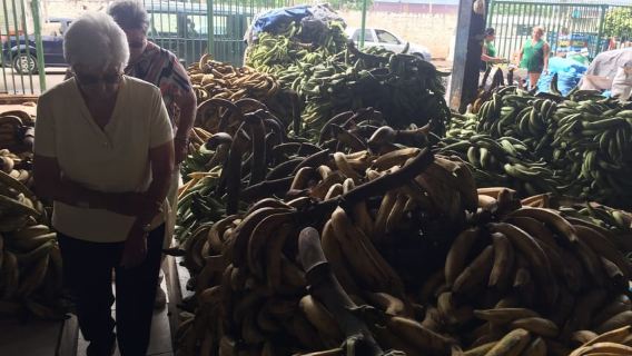 Manaus: Geführte Altstadttour & Bootstour auf dem Amazonas
