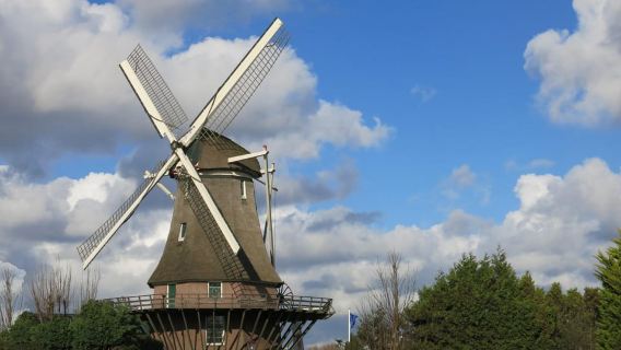 Amsterdam : visite guidée des moulins à vent