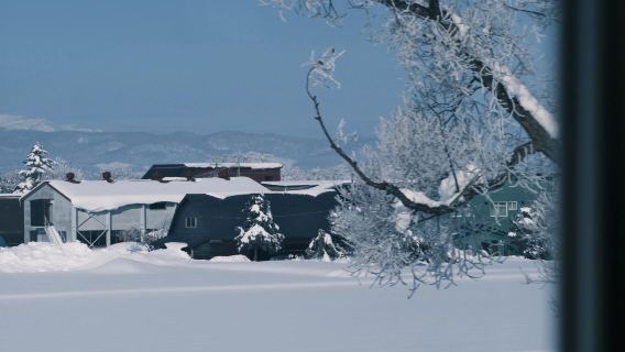 日本北海道旭川美瑛｜白鬚瀑布｜孤獨聖誕樹｜札幌來回｜中文專車