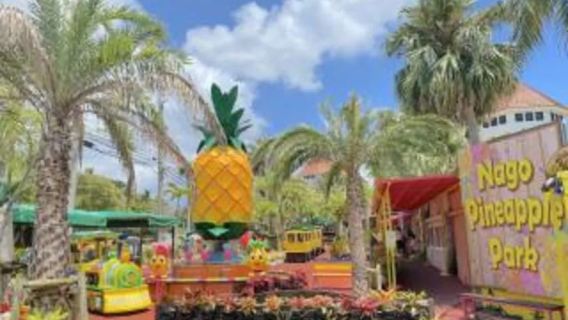 Nago Pineapple Park : Admission with Pineapple Car