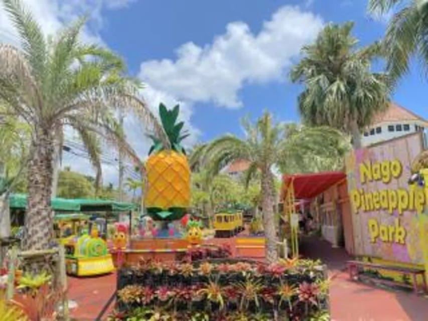 Nago Pineapple Park : Admission with Pineapple Car