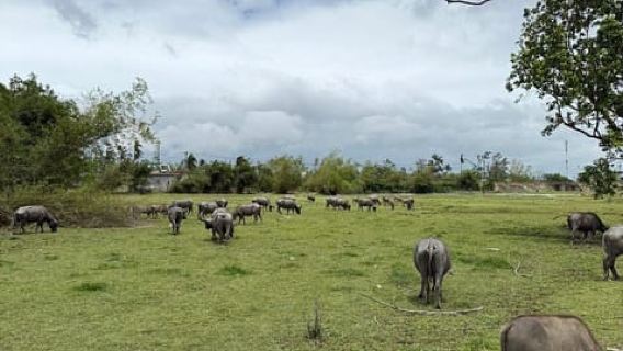 Easy Rider Motorbike Tour via Hai Van Pass: Hue/DaNang/HoiAn