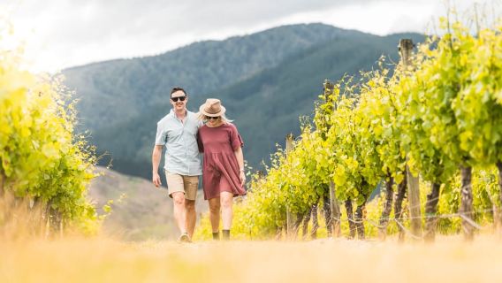 Marlborough: Sesi Lawatan dan Mencicipi Kilang Wain