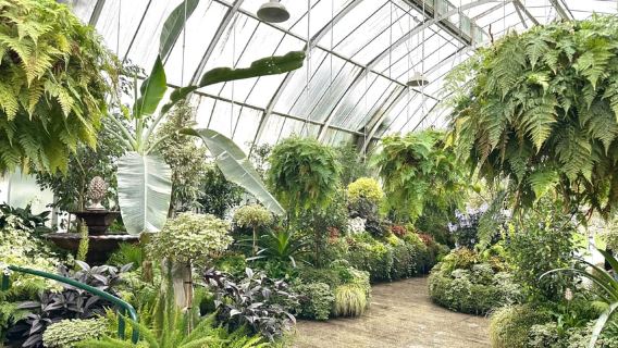 Tour privato di mezza giornata dei luoghi più importanti della città di Christchurch