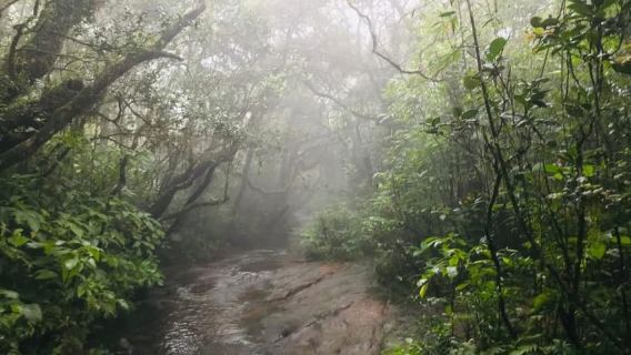 Gangawatakorale