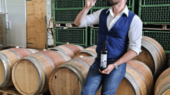 Bucarest: tour della Strada del Vino, 2 cantine boutique in 1 giorno