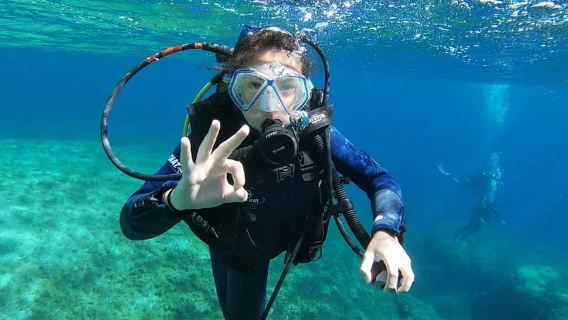 Кальви: Введение в дайвинг. Погружение с инструктором.