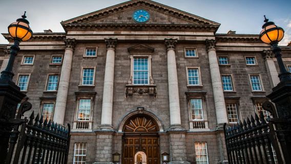 Dublin : billet coupe-file pour le Livre de Kells et visite du château de Dublin
