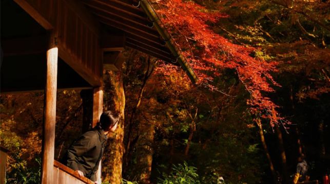 【大阪京都一日遊丨9-13小團】南禪寺&三千院&貴船神社巡遊