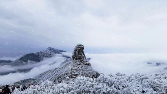 【貴陽出發】梵淨山純玩一日遊【貴州第一山*登高看雲海*純玩】