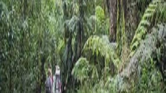 Dari Arusha/Moshi : Kembara hari Kilimanjaro terbaik laluan Machame