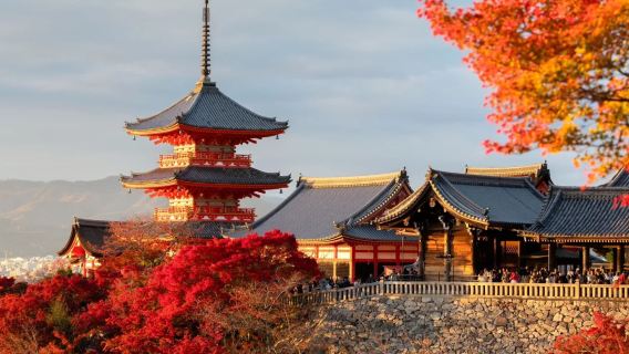 Customizable 1-Day Private Charter in Kansai - Available for Kyoto, Kobe, Nara, and Wakayama