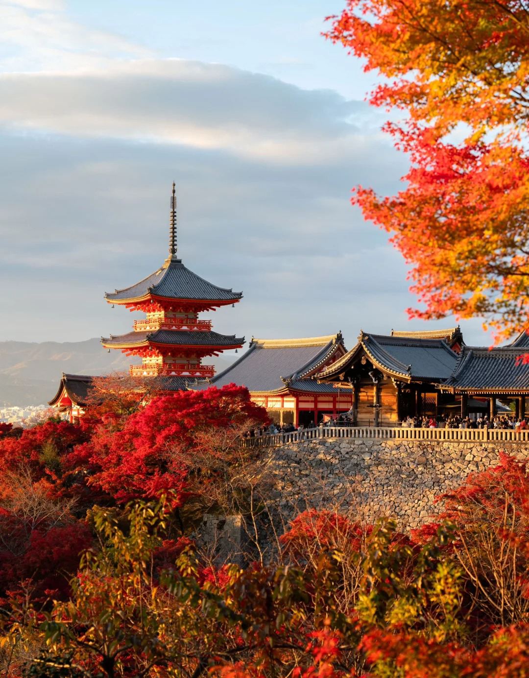 1-Day Customized Private Chartered Tour in Kansai, Japan [Applicable to Kyoto/Kobe/Nara/Wakayama and More]