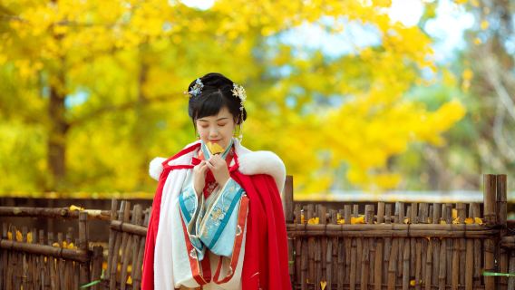 騰衝銀杏村旅拍|專業攝影+快速出片+不滿意現場重拍+銀杏之約