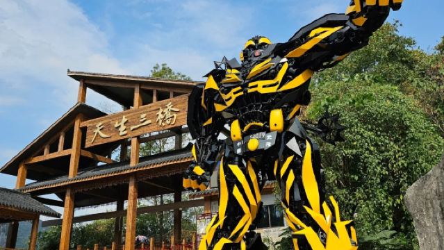 [Kumpulan Bebas + Termasuk Tiket Masuk + Pengangkutan Pintu ke Pintu] Lawatan Sehari Wulong: Jambatan Semula Jadi Tiga Lapis + Jurang Longshuixia