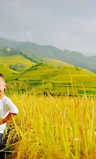 ทัวร์ส่วนตัวนาขั้นบันไดหลงจี๋แบบกรุ๊ปรวม บริการรับส่งถึงที่ เลือก 1 จาก 2 ระหว่างหมู่บ้านจินเคิงหรือหมู่บ้านผิงอัน หรือเลือกทั้งสองหมู่บ้าน
