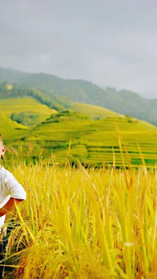 ทัวร์ส่วนตัวนาขั้นบันไดหลงจี๋แบบกรุ๊ปรวม บริการรับส่งถึงที่ เลือก 1 จาก 2 ระหว่างหมู่บ้านจินเคิงหรือหมู่บ้านผิงอัน หรือเลือกทั้งสองหมู่บ้าน